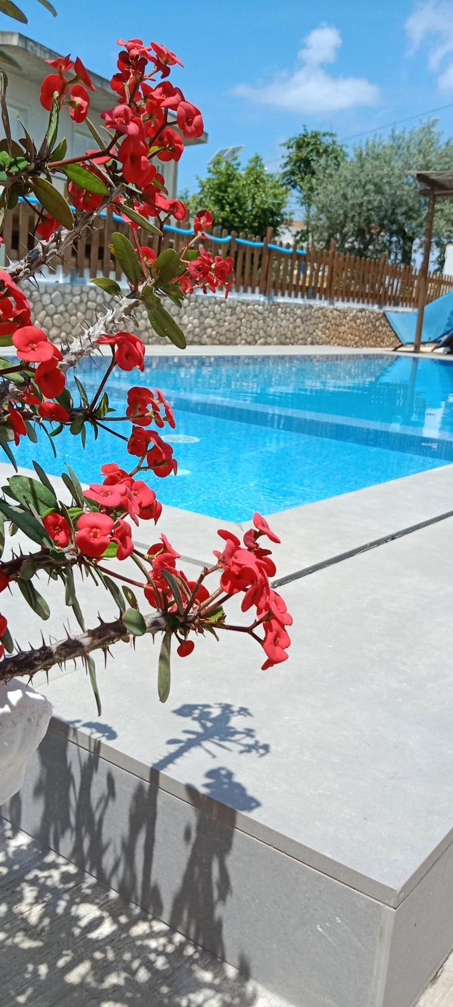 Hotel Villa Ruci คซามิล ห้อง รูปภาพ