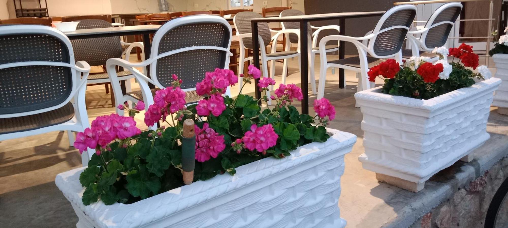 Hotel Villa Ruci คซามิล ภายนอก รูปภาพ